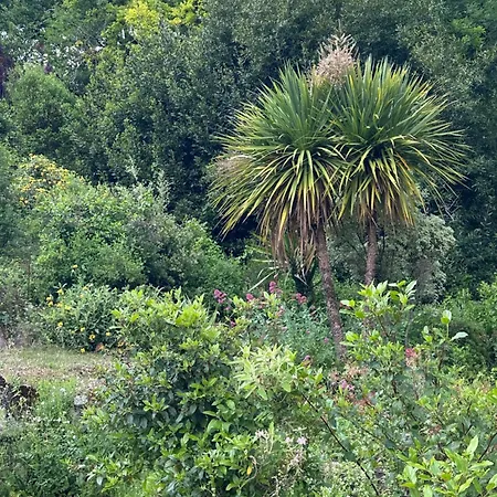 Le Clos Des Oiseaux Couette-café
