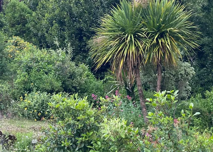 Le Clos Des Oiseaux 住宿加早餐酒店