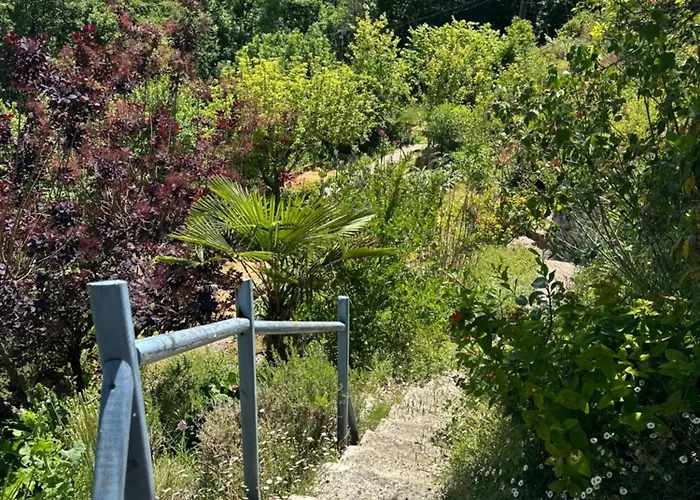 Couette-café Le Clos Des Oiseaux Itzac